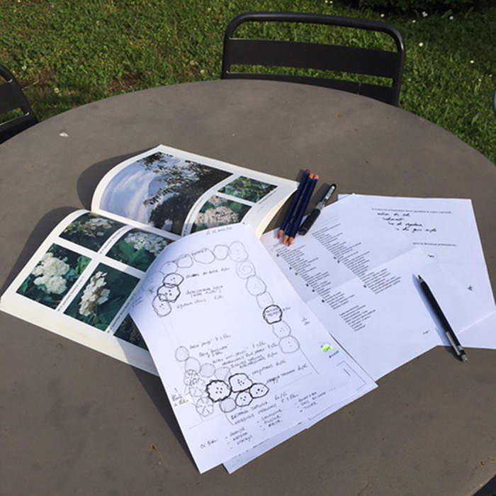 Coaching jardin - plan et photo